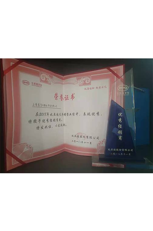 龙港市比亚迪2018优秀经销商