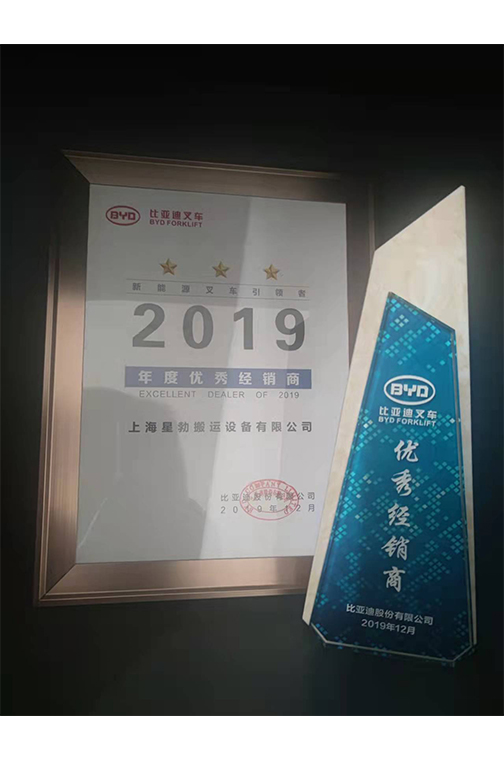 龙港市比亚迪2019优秀经销商